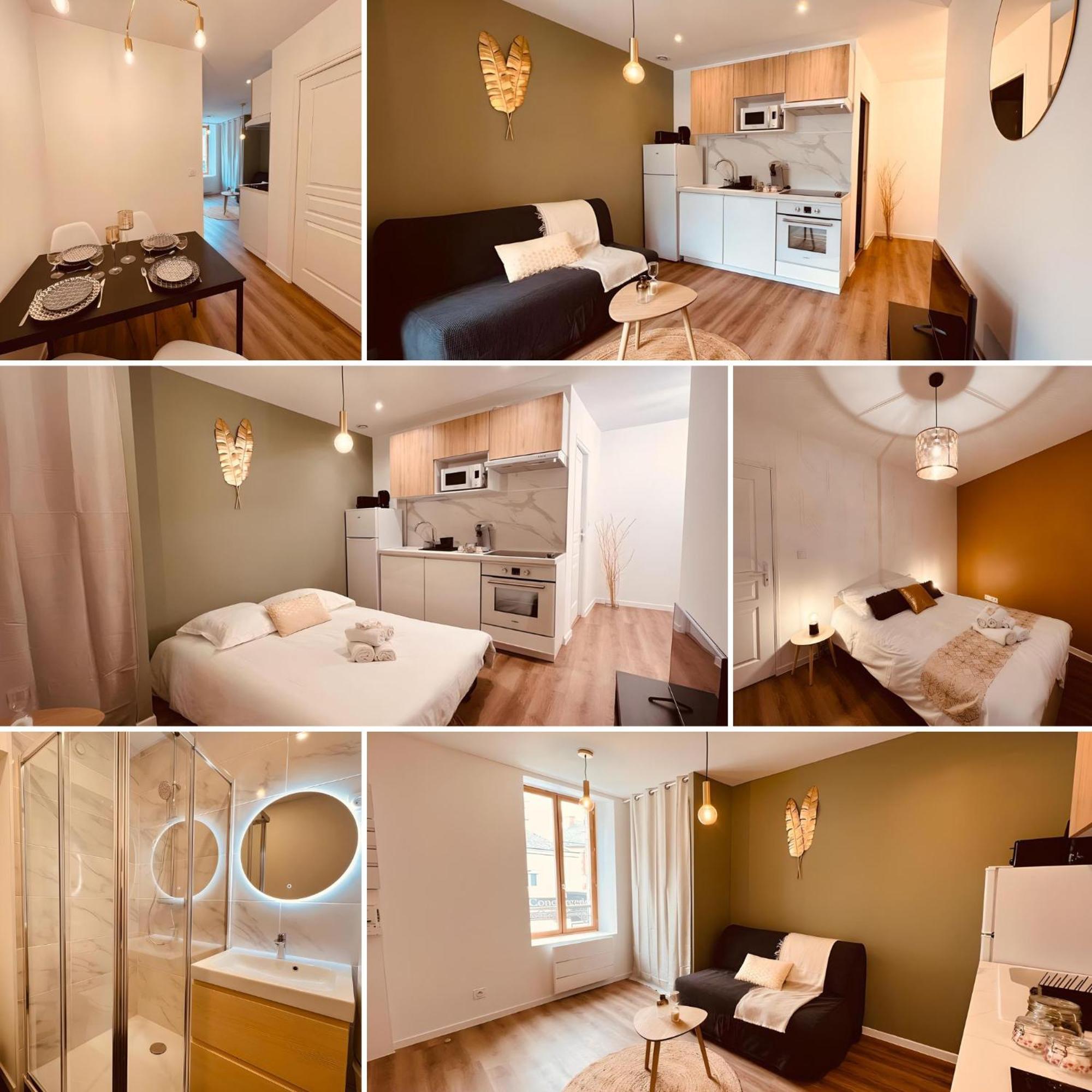 Le Golden - Home Homy Vierzon Exteriér fotografie